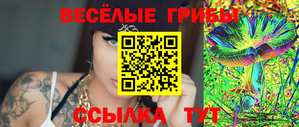 Галлюциногенные грибы GOLDEN TEACHER  Мытищи  Псилоцибиновые грибы Psilocybine cubensis 