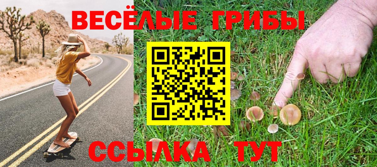 Псилоцибиновые грибы Cubensis Мытищи