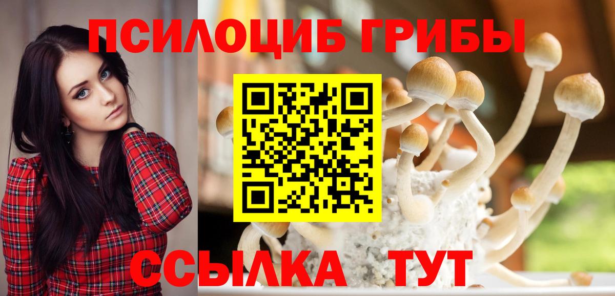 Галлюциногенные грибы мухоморы  Вход с VPN  Мытищи 