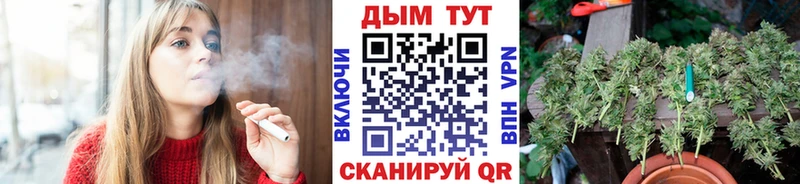 купить наркоту  Мытищи  Марихуана Amnesia 